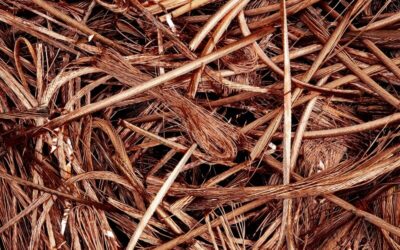 IG Forges Ahead With 6th Transaction In The Recycling Sector